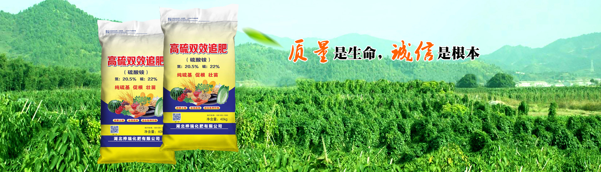 温县万亩田种植专业合作社